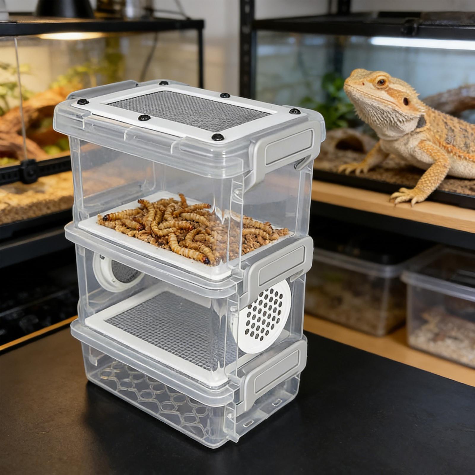 3-Layer Silkworm Feeder Bin Co - Science Hobbyist ulasan dan harga