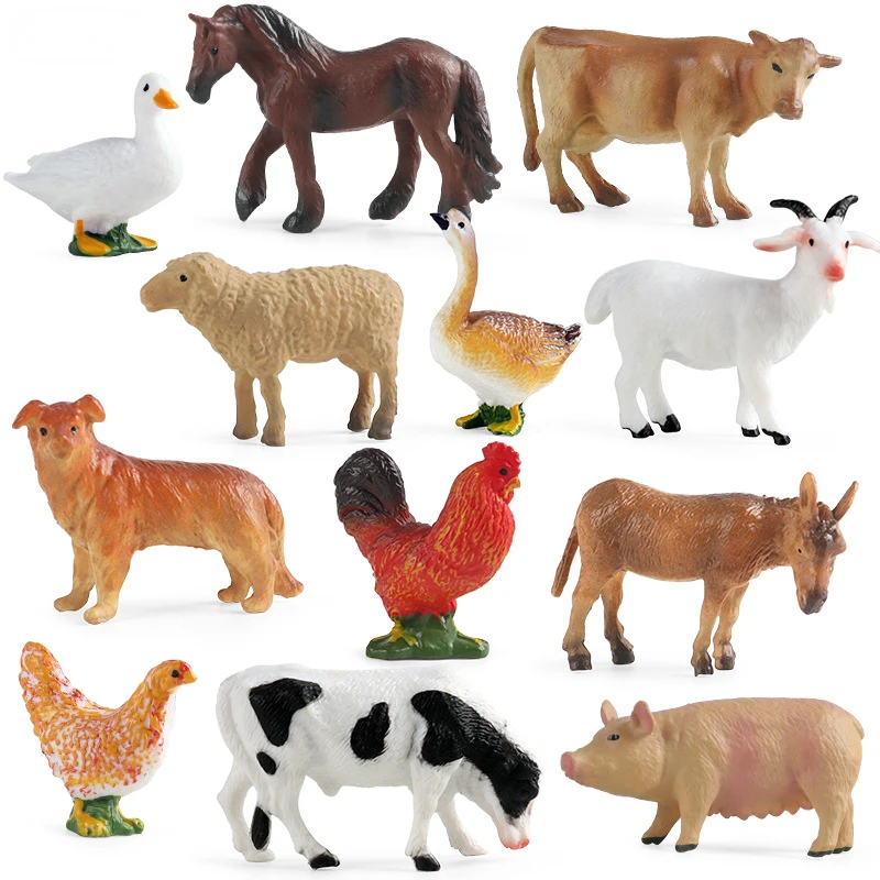 Education Teaching Tool Poultr - Science Toys ulasan dan harga